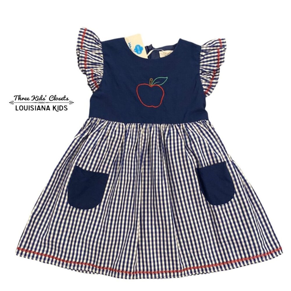 NEW Evie's Closet 3T Blue Gingham Apple Dress
